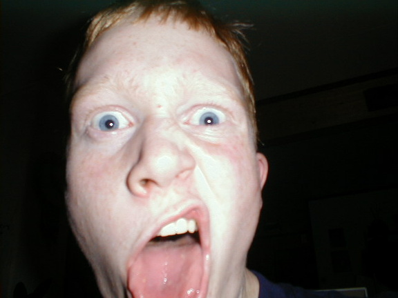PIC00036