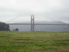 img 1106 001