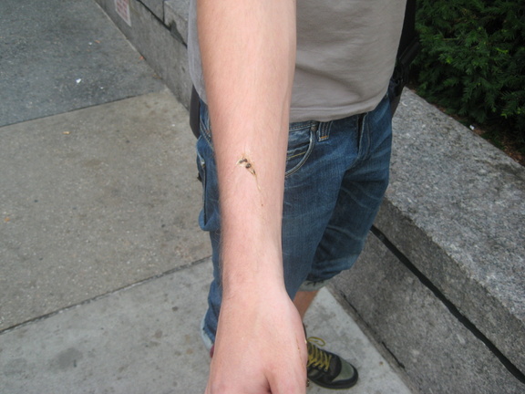 img 1560