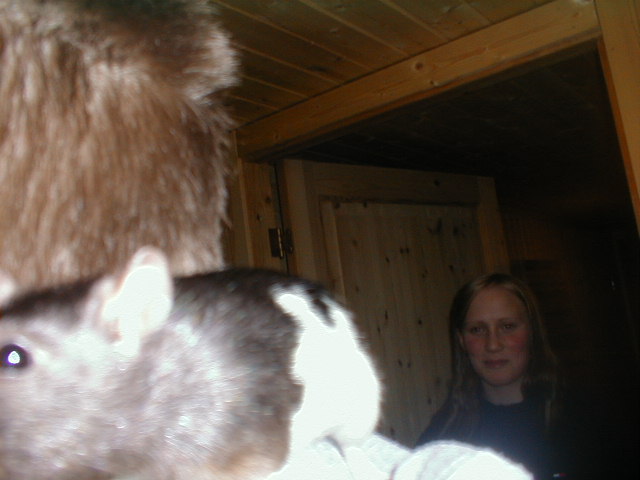 PIC00034